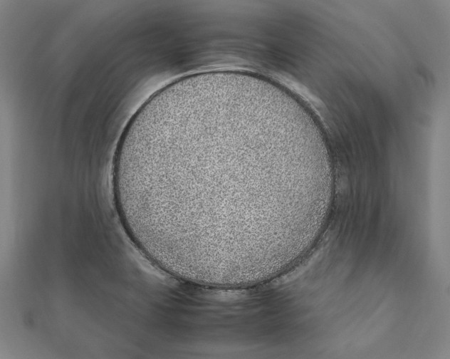 X0000111781423200908201100