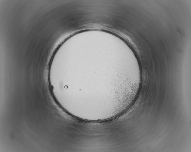 X0000111781424200908201100