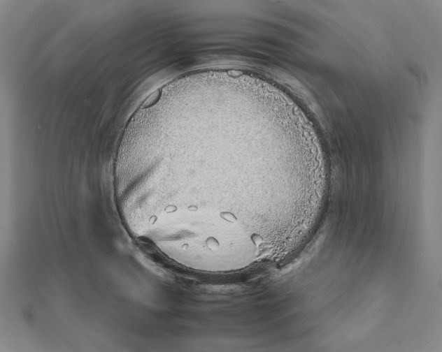 X0000111781425200908201100