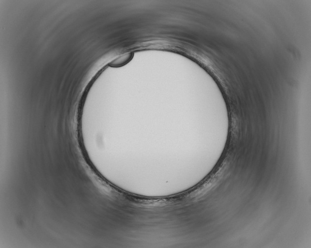 X0000111781426200908201100