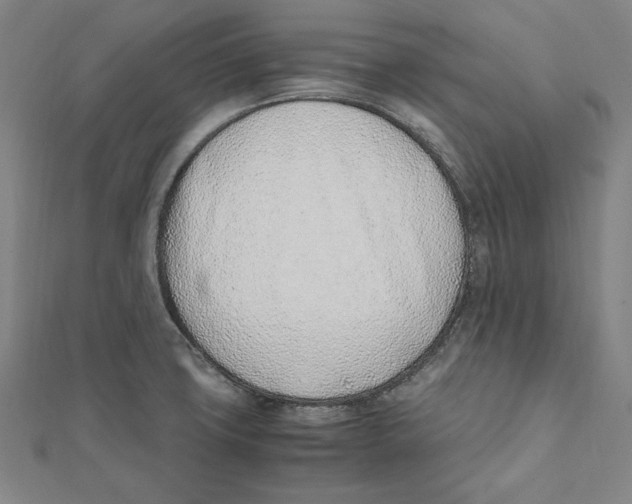 X0000111781427200908201100
