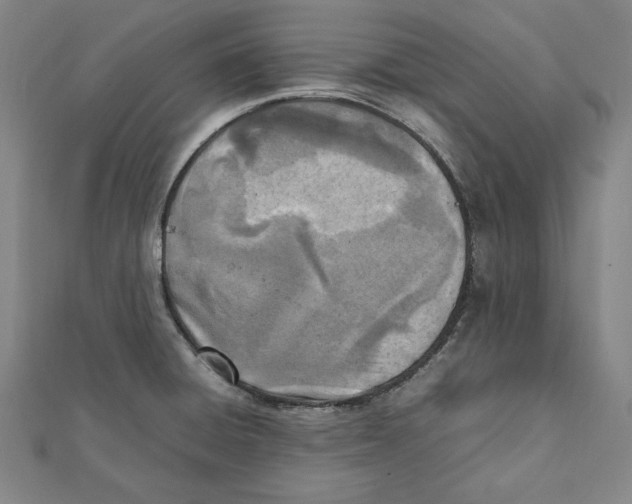 X0000111781428200908201100