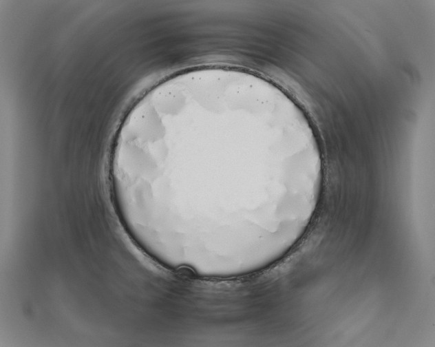 X0000111781429200908201100