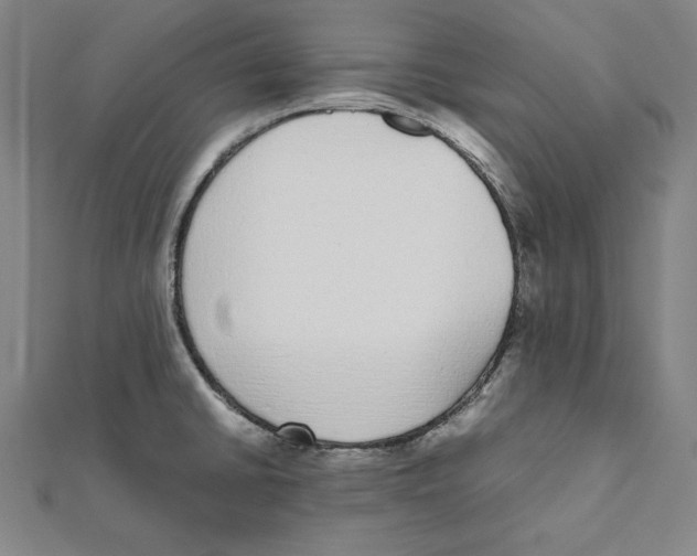 X0000111781430200908201100