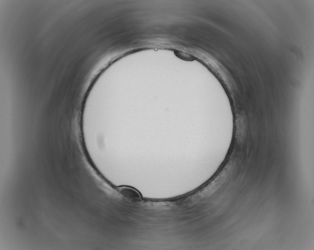X0000111781432200908201100