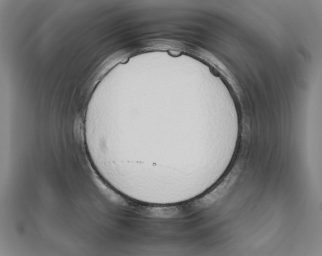 X0000111781433200908201100