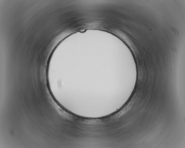X0000111781434200908201100