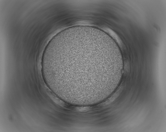 X0000111781435200908201100