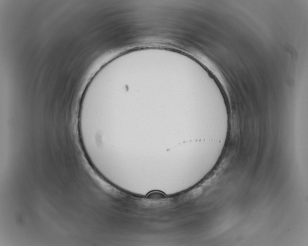 X0000111781437200908201100
