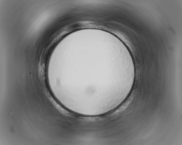 X0000111781438200908201100
