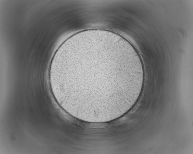 X0000111781440200908201100