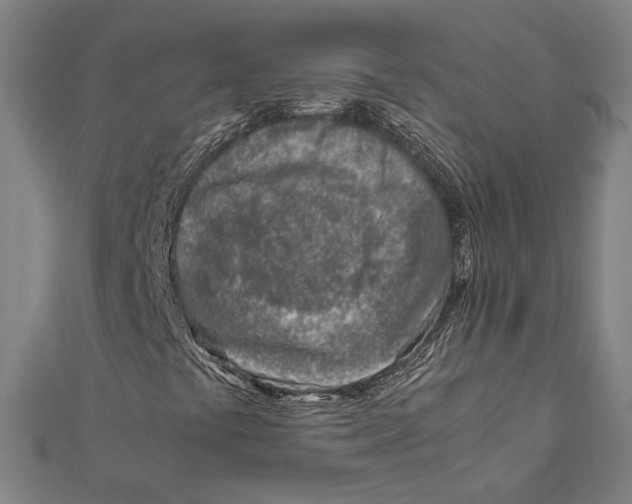 X0000111781441200908201059