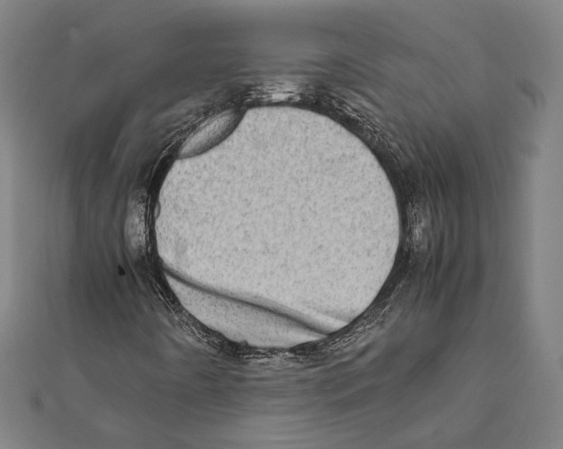 X0000111781442200908201059