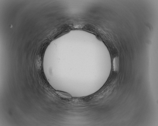 X0000111781443200908201059