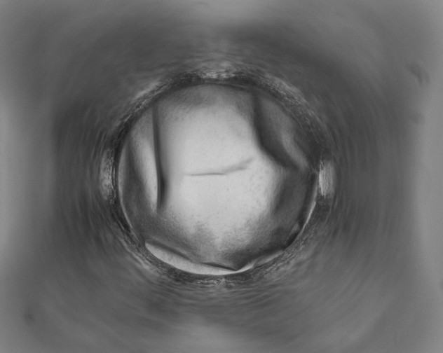 X0000111781444200908201059