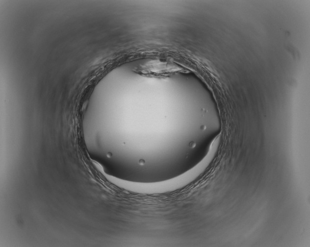 X0000111781445200908201059