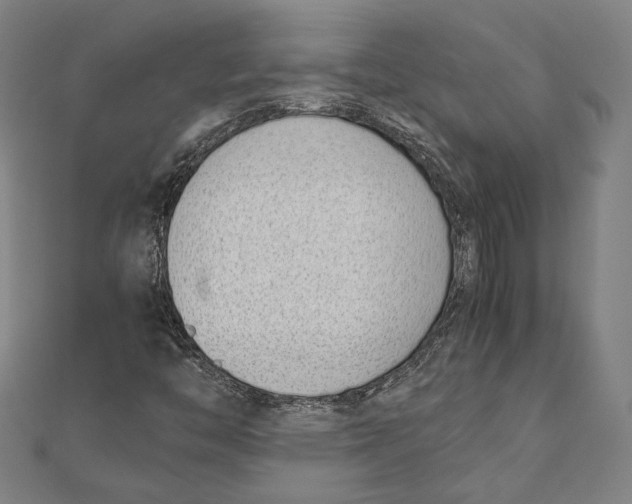 X0000111781446200908201059