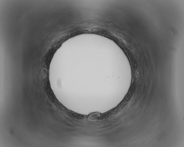 X0000111781447200908201059