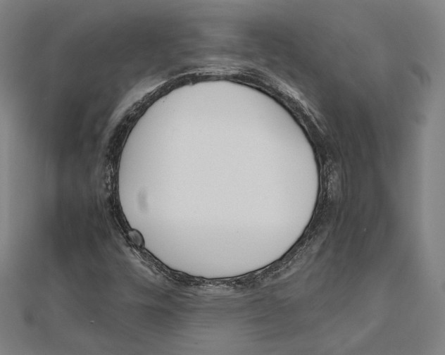 X0000111781448200908201059