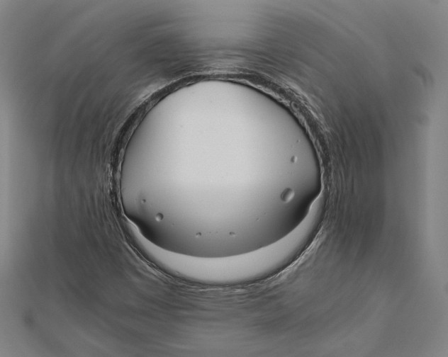 X0000111781449200908201059