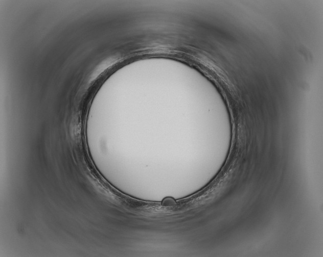X0000111781450200908201059