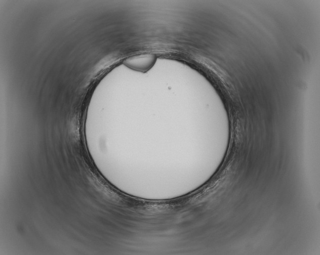 X0000111781451200908201059