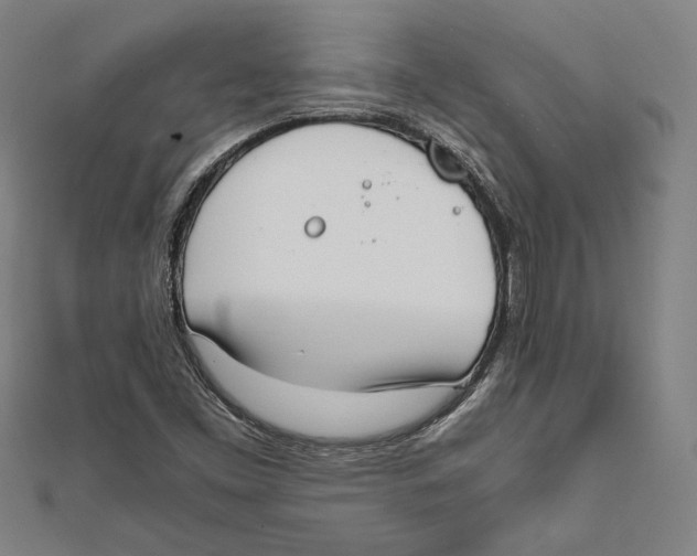 X0000111781453200908201059