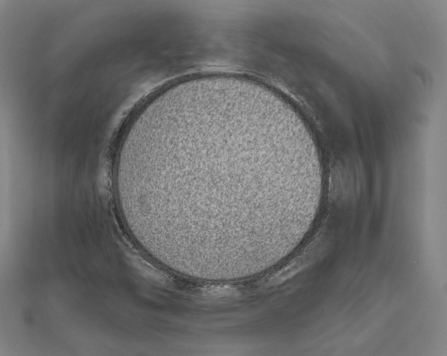 X0000111781454200908201059