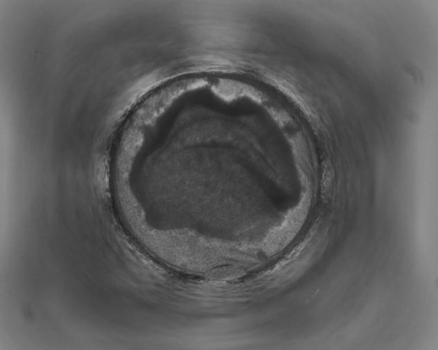 X0000111781455200908201059