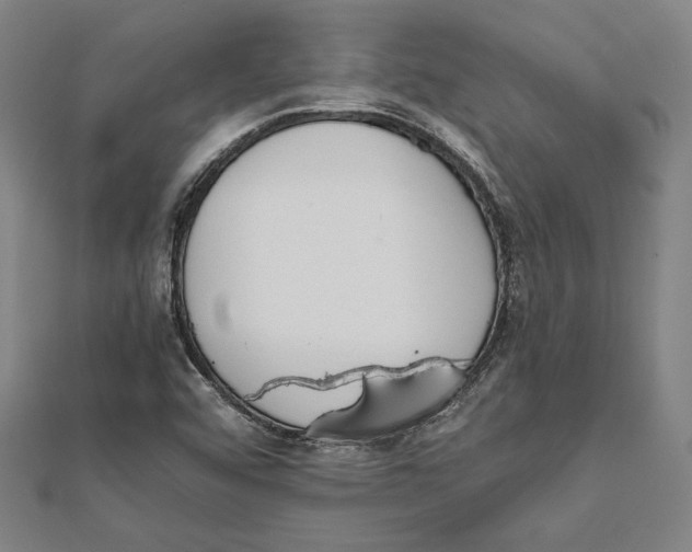 X0000111781456200908201059