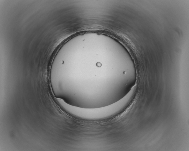 X0000111781457200908201059
