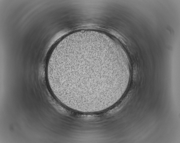 X0000111781458200908201059