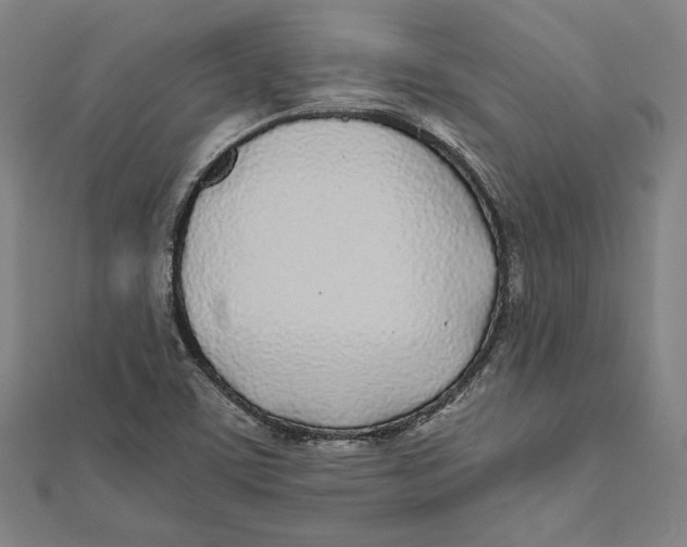X0000111781459200908201059
