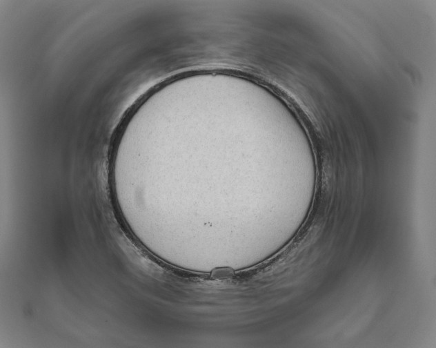 X0000111781460200908201059