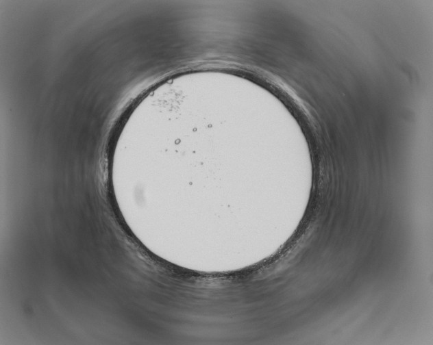X0000111781461200908201059