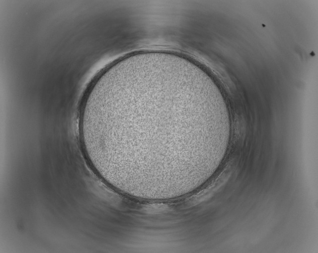 X0000111781462200908201059