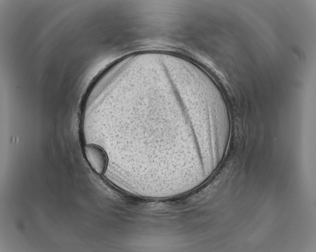 X0000111781463200908201059