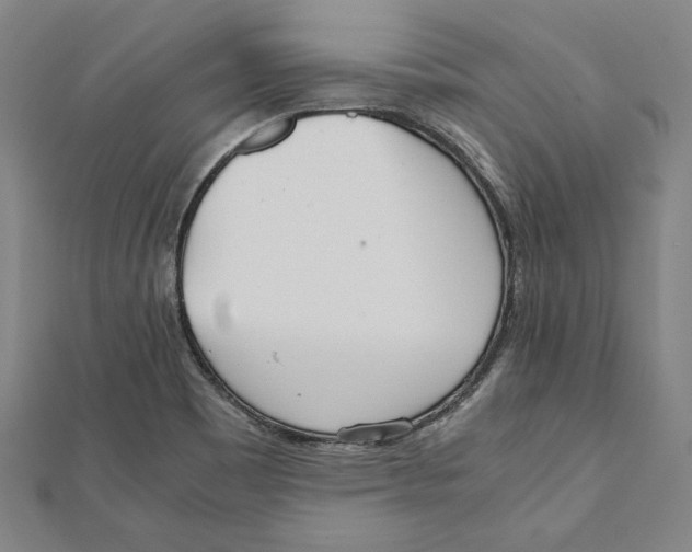 X0000111781465200908201059