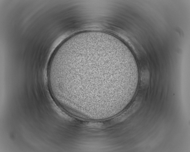 X0000111781466200908201059