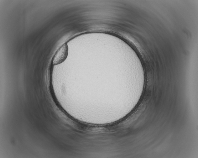 X0000111781467200908201059