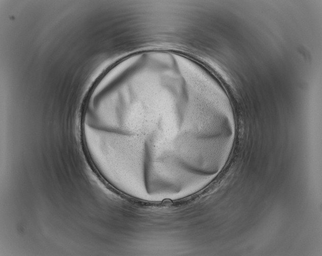 X0000111781468200908201059