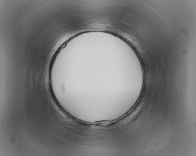 X0000111781469200908201059