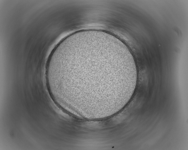 X0000111781470200908201059