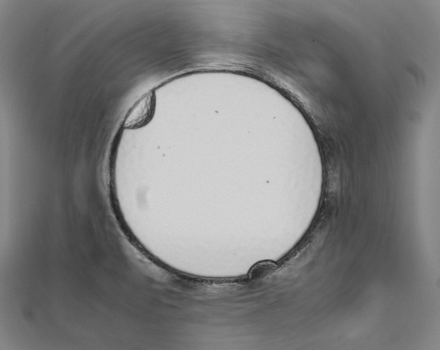 X0000111781471200908201059