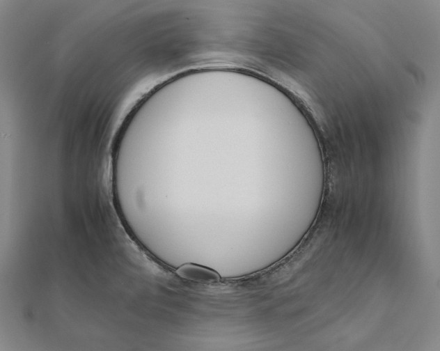 X0000111781472200908201059
