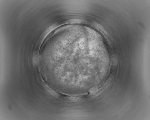X0000111781473200908201059