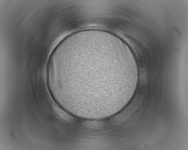 X0000111781474200908201059