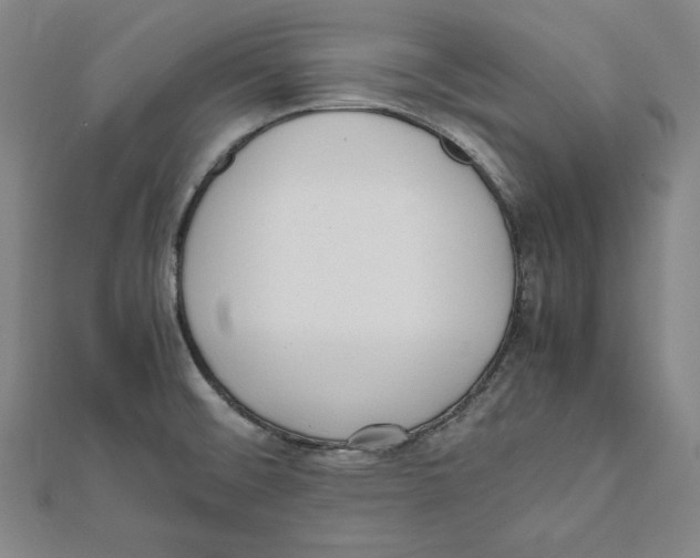 X0000111781476200908201059