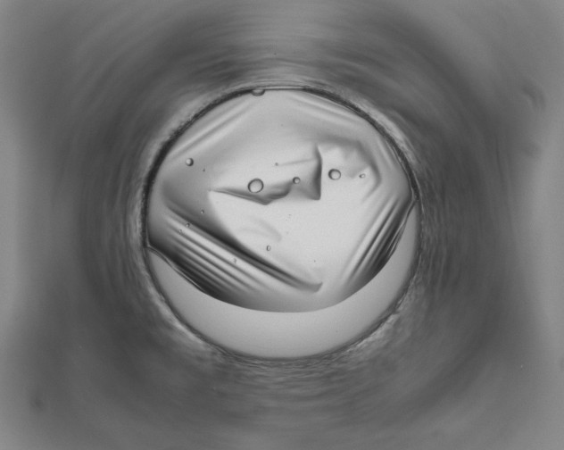 X0000111781477200908201059