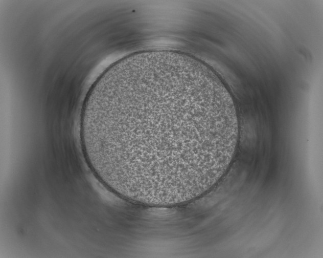 X0000111781478200908201059